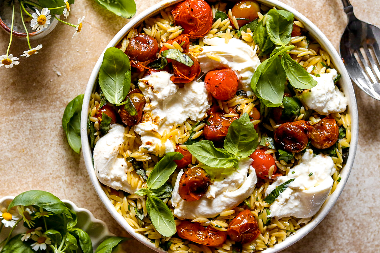 tomato basil orzo pasta with burrata